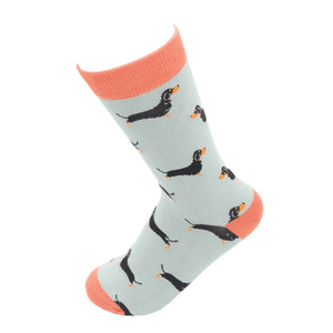 lusciousscarves Socks Miss Sparrow Sausage Dogs Bamboo Socks - Duck Egg